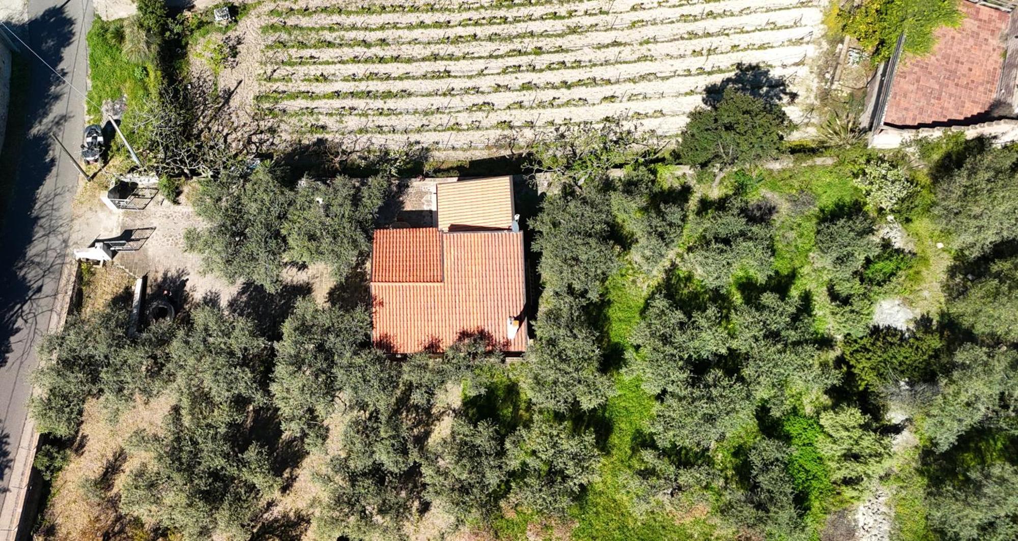 Welcomely - Badde Nuraghe Dimora Vista Mare Con Parcheggio Privato Magomadas Exterior foto